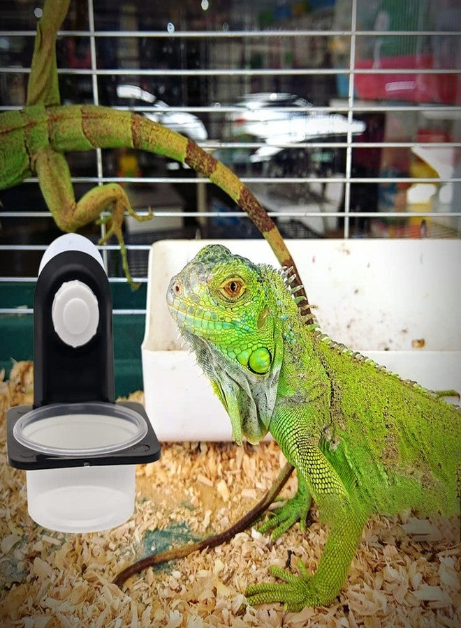 APlayfulBee Double Crested Gecko Feeding Ledge with 10 Pcs 0.5oz Bowls, Detachable Suction Cup Reptile Feeding Dish Feeder for Lizard, Tortoise, Spider Gecko - Image 5